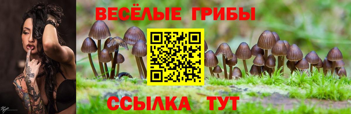 Codein Топки